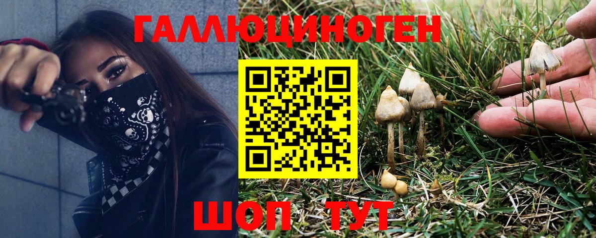 Галлюциногенные грибы Magic Shrooms Родники