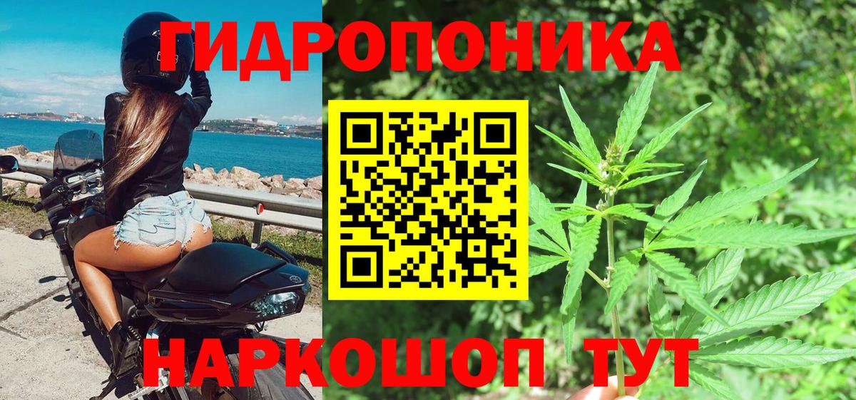 МАРИХУАНА планчик Родники